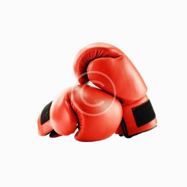 Boxing gloves